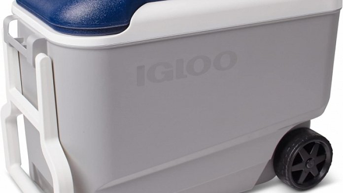 Igloo Cooler 